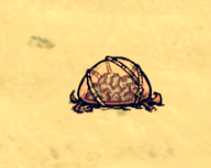飢荒 (Don't Starve) 海難工具物品與武器裝備圖文分享