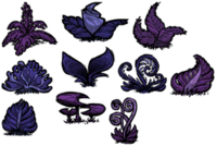飢荒 (Don't Starve) 洞穴圖文攻略與物品怪物大全