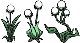 飢荒 (Don't Starve) 洞穴圖文攻略與物品怪物大全