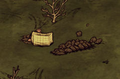 飢荒 (Don't Starve) 連線版打怪生存技巧與人物推薦