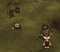 飢荒 (Don't Starve) 連線版打怪生存技巧與人物推薦