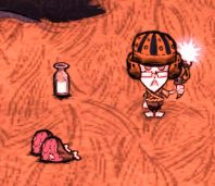 飢荒 (Don't Starve) 連線版打怪生存技巧與人物推薦