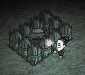 飢荒 (Don't Starve) 連線版打怪生存技巧與人物推薦