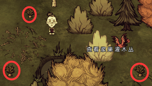 飢荒 (Don't Starve) 連線版打怪生存技巧與人物推薦