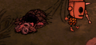 飢荒 (Don't Starve) 連線版打怪生存技巧與人物推薦