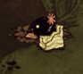 飢荒 (Don't Starve) 連線版打怪生存技巧與人物推薦