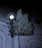飢荒 (Don't Starve) 全怪物圖鑑與掉落物品說明