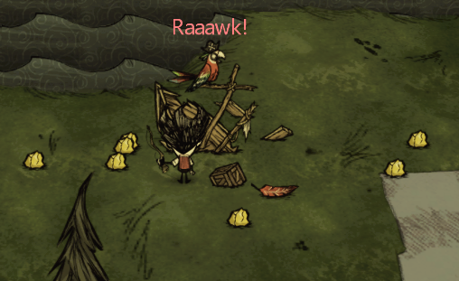 飢荒 (Don't Starve) 鸚鵡與沉船內容圖文解析