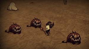 飢荒 (Don't Starve) 陷阱與設施說明與破解方法