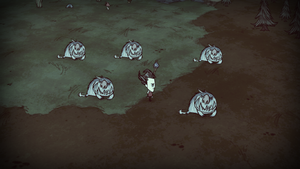 飢荒 (Don't Starve) 陷阱與設施說明與破解方法