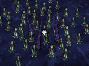 飢荒 (Don't Starve) 陷阱與設施說明與破解方法