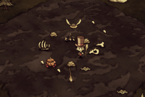 飢荒 (Don't Starve) 陷阱與設施說明與破解方法