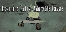 飢荒 (Don't Starve) 連線版四季BOSS資料與打法攻略