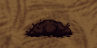飢荒 (Don't Starve) 食譜大全與食物製作方法屬性圖文分享