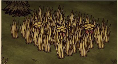 飢荒 (Don't Starve) 彩蛋大全