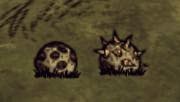 飢荒 (Don't Starve) 武器裝備資料分享