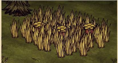 飢荒 (Don't Starve) 陷阱與彩蛋圖文分享