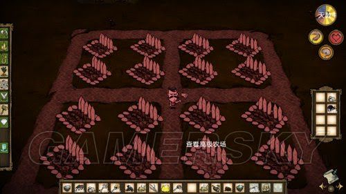 飢荒 (Don't Starve) 建築細節技巧圖文分享