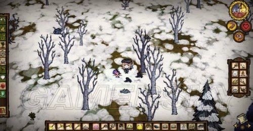 飢荒 (Don't Starve) 6.0版精靈公主生存圖文教學