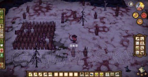 飢荒 (Don't Starve) 6.0版精靈公主生存圖文教學
