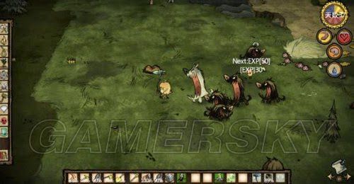 飢荒 (Don't Starve) 6.0版精靈公主生存圖文教學