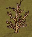 飢荒 (Don't Starve) 全材料作用分享