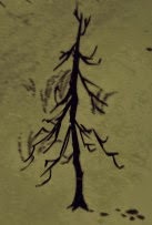 飢荒 (Don't Starve) 全材料作用分享