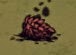 飢荒 (Don't Starve) 全材料作用分享