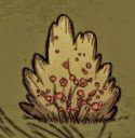 飢荒 (Don't Starve) 全材料作用分享