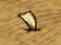 飢荒 (Don't Starve) 全材料作用分享