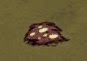 飢荒 (Don't Starve) 全材料作用分享