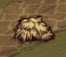 飢荒 (Don't Starve) 全材料作用分享