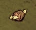 飢荒 (Don't Starve) 全材料作用分享
