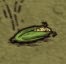 飢荒 (Don't Starve) 全材料作用分享