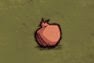 飢荒 (Don't Starve) 全材料作用分享