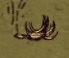 飢荒 (Don't Starve) 全材料作用分享
