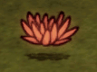 飢荒 (Don't Starve) 全人物圖文介紹與最好用的人物