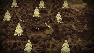飢荒 (Don't Starve) 14版冒險模式圖文詳解