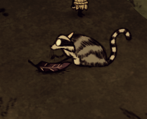 飢荒 (Don't Starve) 新手常用技巧整理
