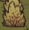 飢荒 (Don't Starve) 怪物與植物相關資料