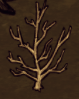 飢荒 (Don't Starve) 怪物與植物相關資料