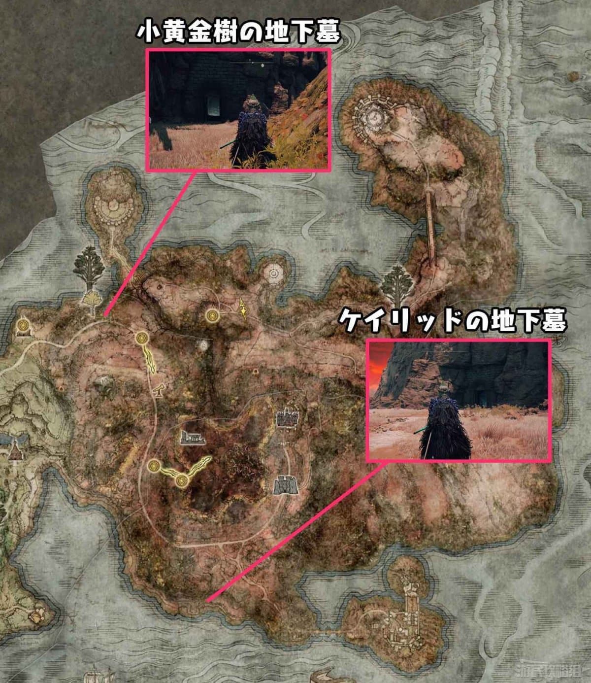 艾爾登法環 (Elden Ring) 墓地鈴蘭取得方法