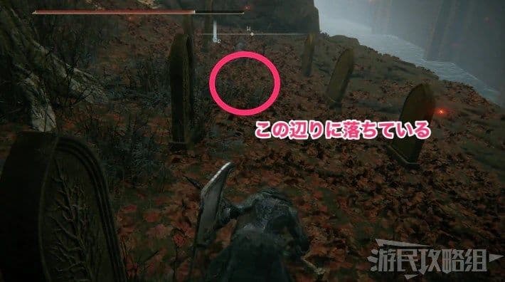 艾爾登法環 (Elden Ring) 靈依墓地鈴蘭取得方法