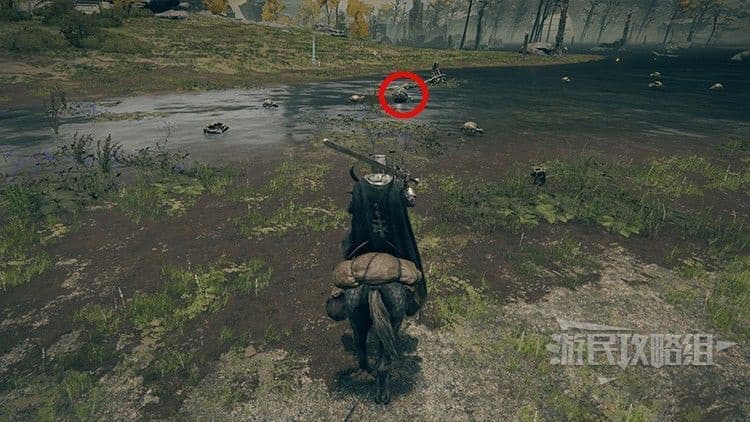 艾爾登法環 (Elden Ring) 糞金龜位置與擊殺獎勵分享