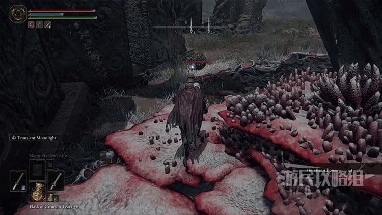 艾爾登法環 (Elden Ring) 糞金龜位置與擊殺獎勵分享