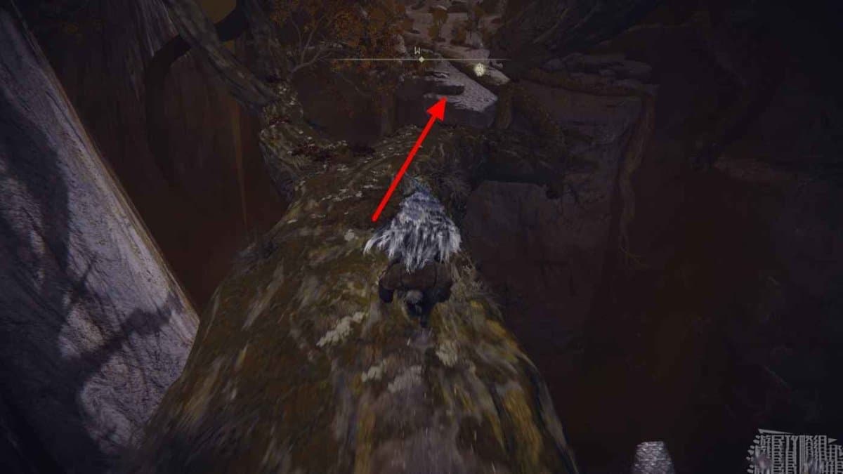 艾爾登法環 (Elden Ring) 菲雅支線任務流程