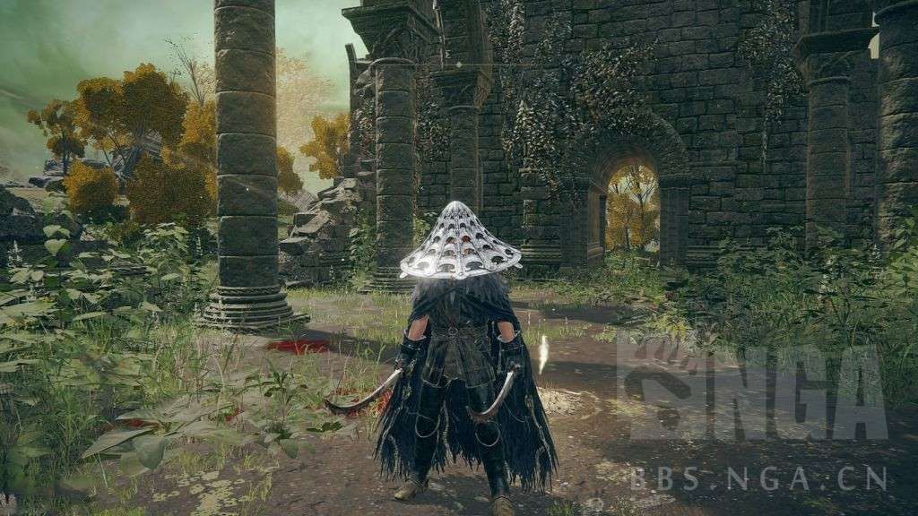 艾爾登法環 (Elden Ring) PVP雙刀出血流配裝參考
