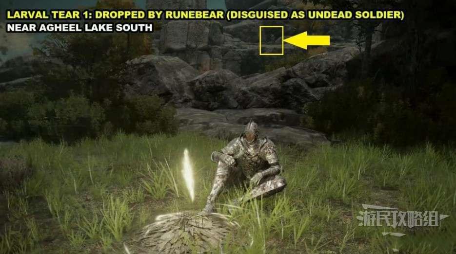 艾爾登法環 (Elden Ring) 淚滴幼體收集攻略