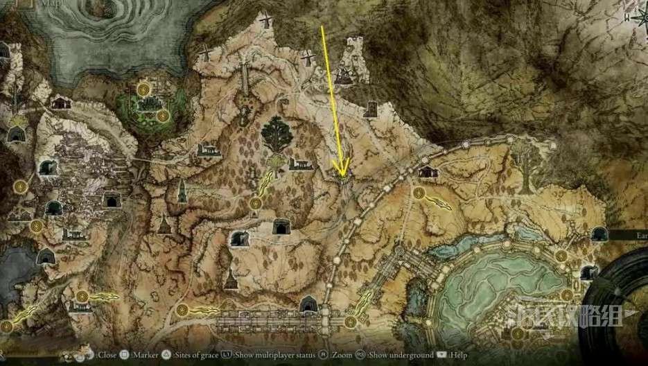 艾爾登法環 (Elden Ring) 淚滴幼體收集攻略