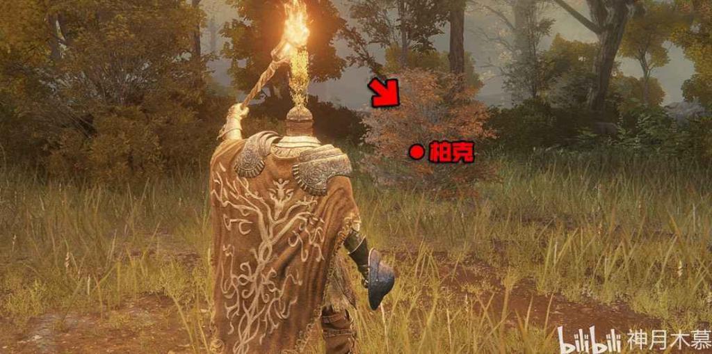 艾爾登法環 (Elden Ring) 柏克支線任務方法